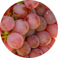 gewürztraminer