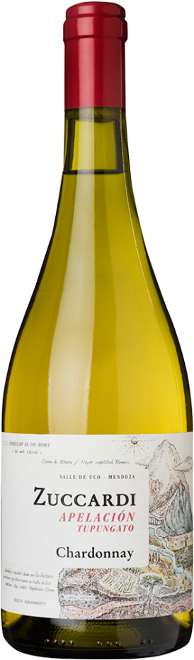 Zuccardi