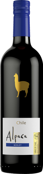 Alpaca