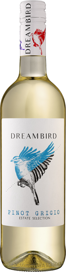 Dreambird 