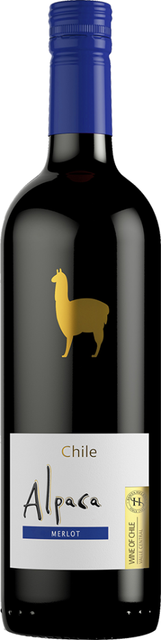 Alpaca