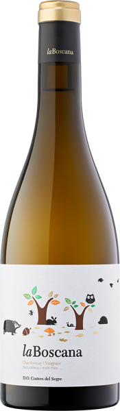 Costers del Sió