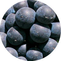 gamay