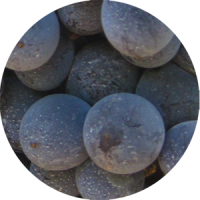 negroamaro