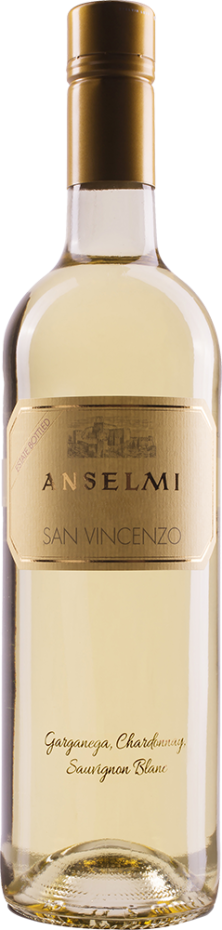 Anselmi