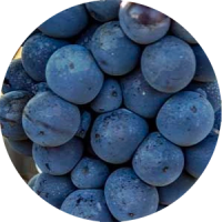 nero d’avola