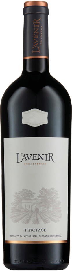 L’Avenir
