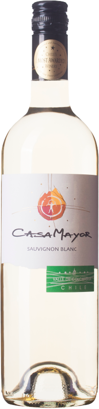 Casa Mayor