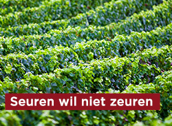 Seuren wil niet zeuren